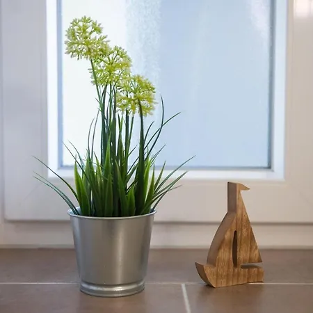 Haus-meeresglueck-wohnung-seemoewe *